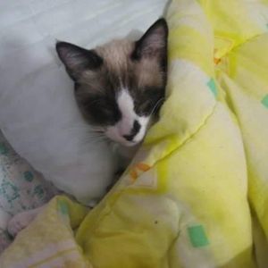 Meet your Posher, Abigail